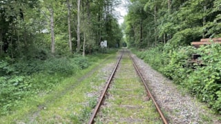 Spoorlijn tussen terrein Glasbak en Langetuin