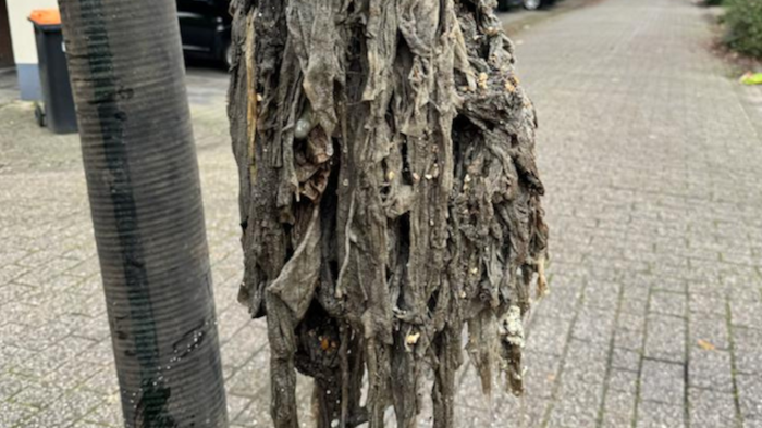 Doekjes in de pomp - Gemeente Hoorn in actie tegen vet en doekjes in het riool