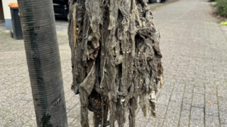 Doekjes in de pomp - Gemeente Hoorn in actie tegen vet en doekjes in het riool
