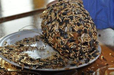 Vogelvoer maken