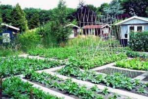 OPEN DAG/PLANTJES/BIO MARKT
