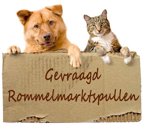 Rommelmarkt dierenasiel