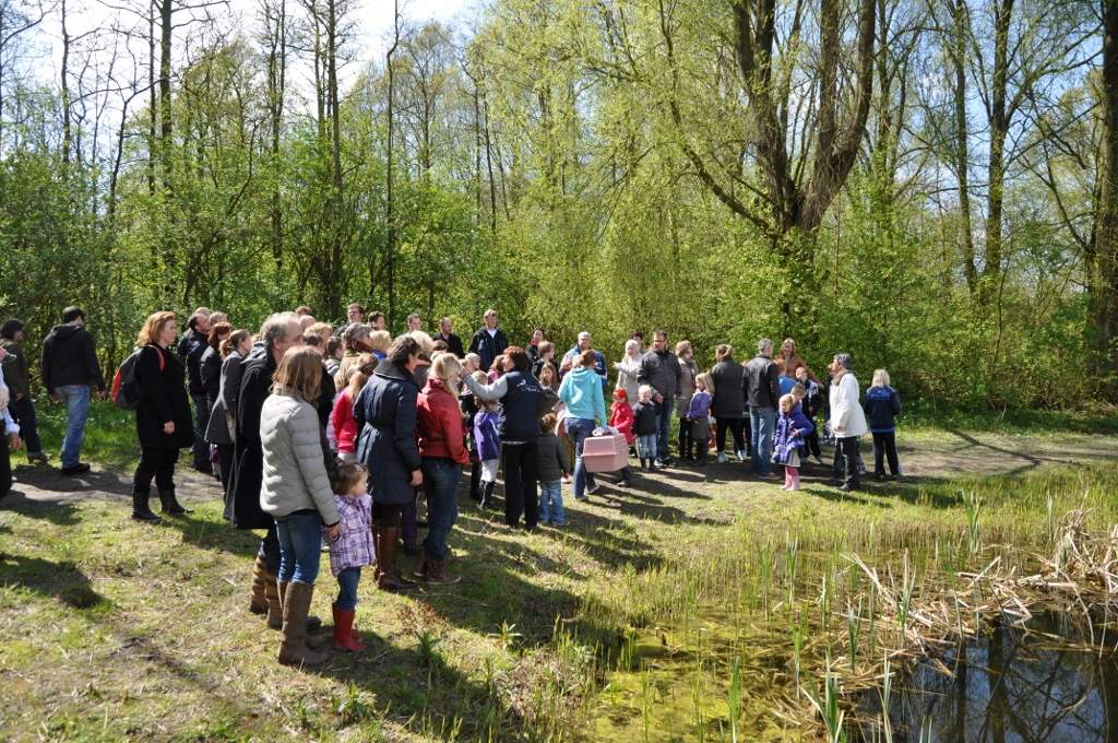 Egels van De Bonte Piet en land- en waterschildpadden