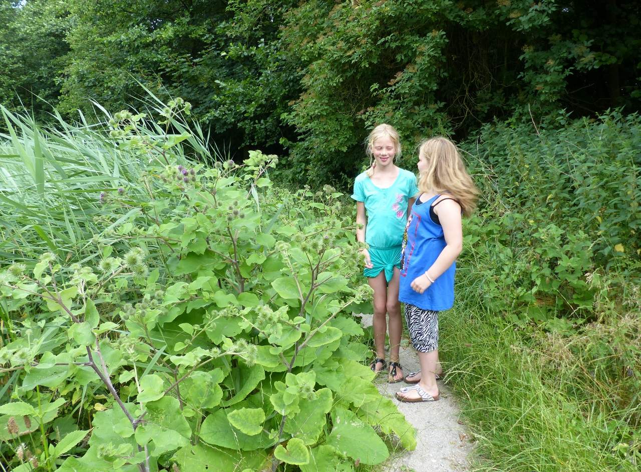 Natuurpad Ecoproject Streekbos
