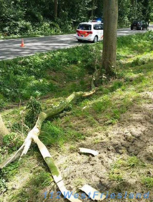 Diverse schademeldingen door de harde wind in Hoorn, Wijdenes en Middenmeer