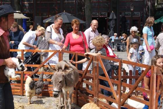 Woensdagmarkt: Hoornse Beestenboel!