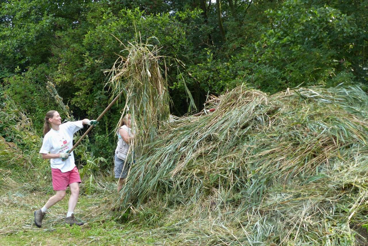 Hooidag Ecoproject
