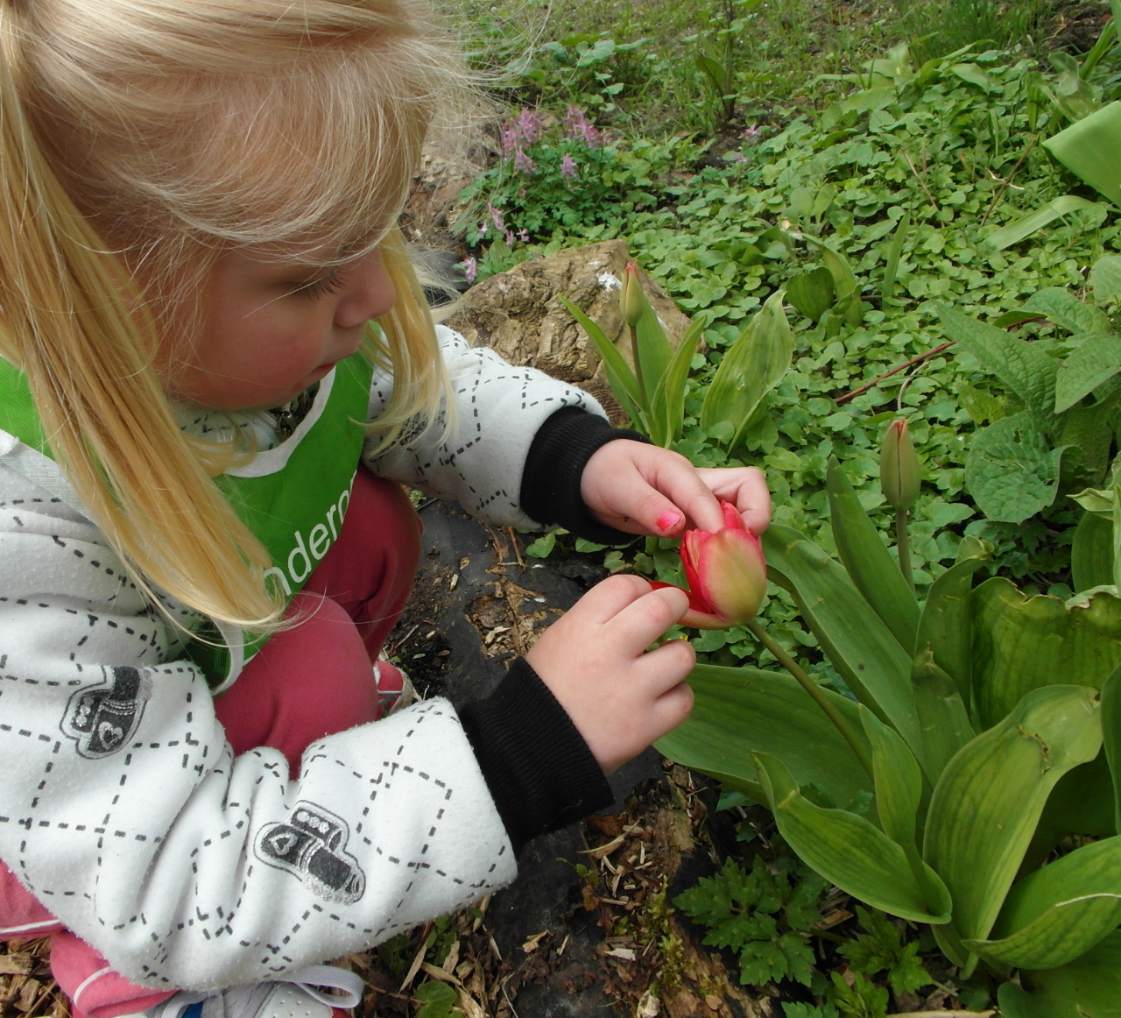 Workshop Eten uit de natuur