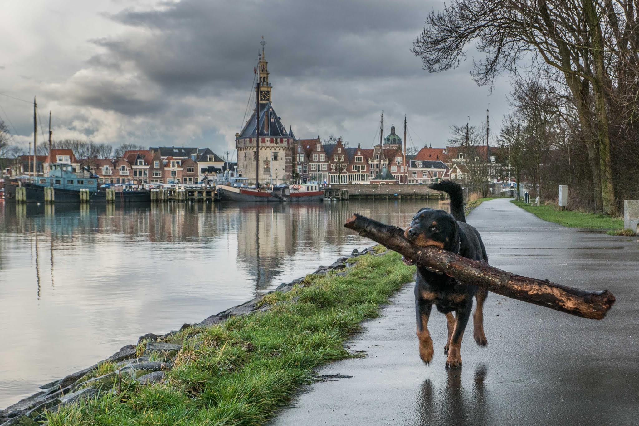 Expositie: Benno’s fotografie