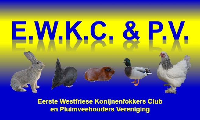 logo_EWKC&amp;PV