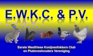 logo_EWKC&PV