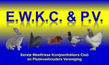 logo_EWKC&amp;PV