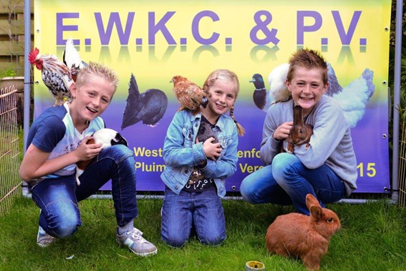 foto_bladen_2016_klein