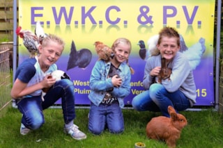 foto_bladen_2016_klein