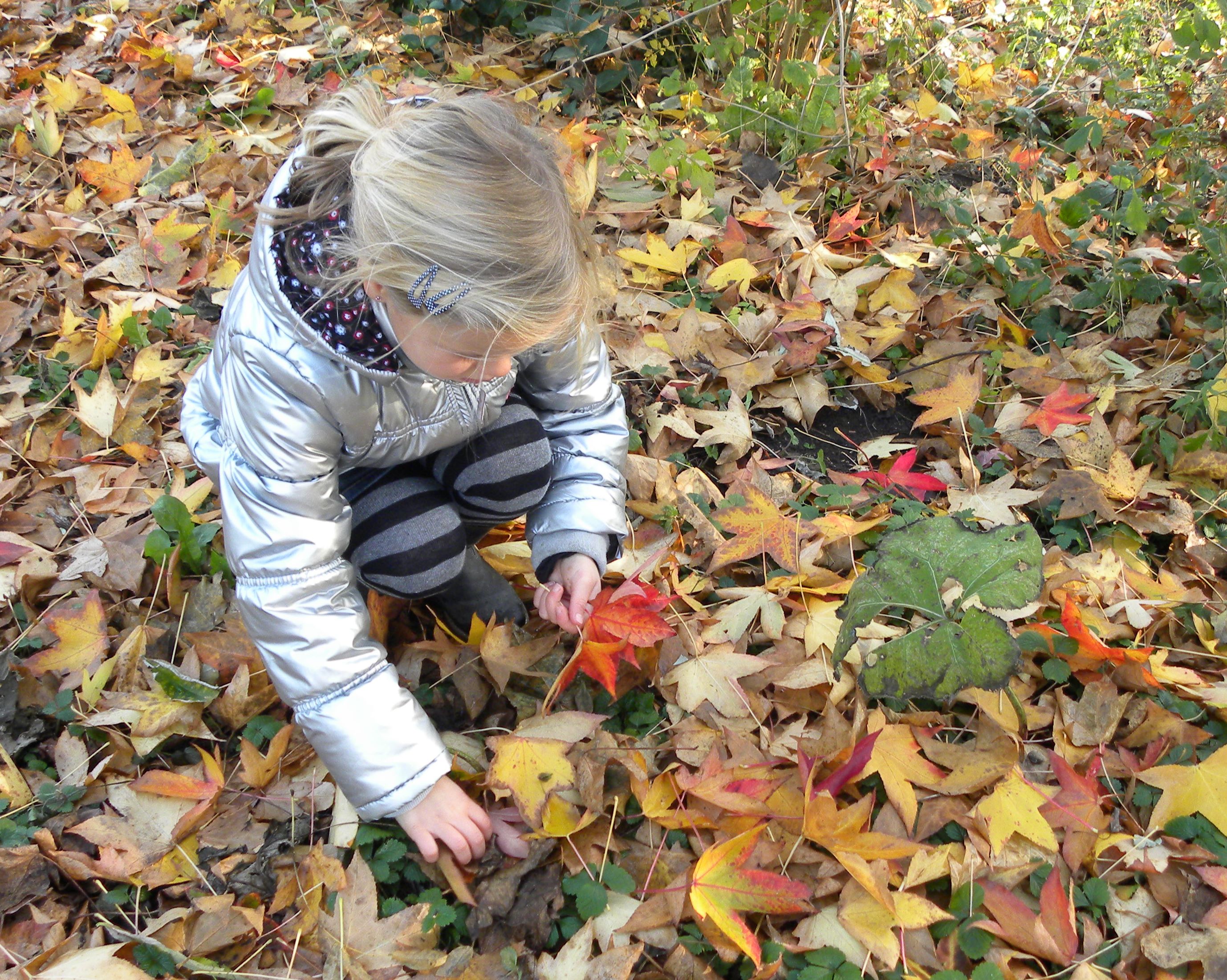 Herfstvakantie in de Witte Schuur
