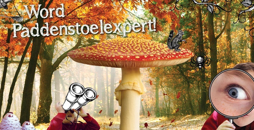Paddenstoelen in het Egboetswater
