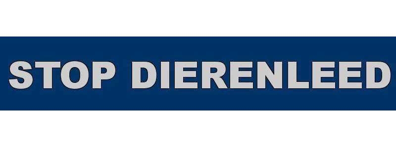 Tientallen verwaarloosde dieren gered uit huis in Zwaag