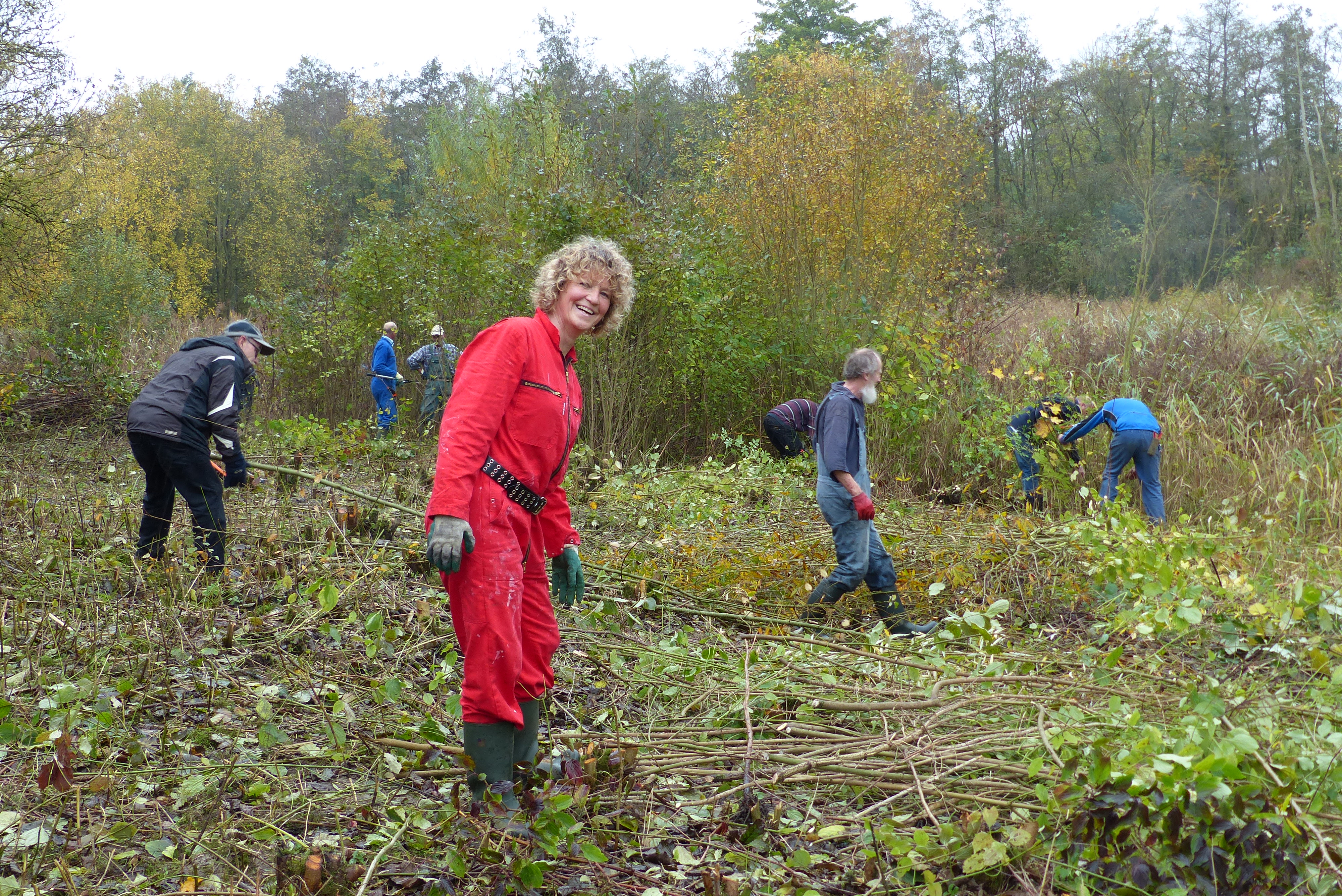 Natuurwerkdag Ecoproject Streekbos