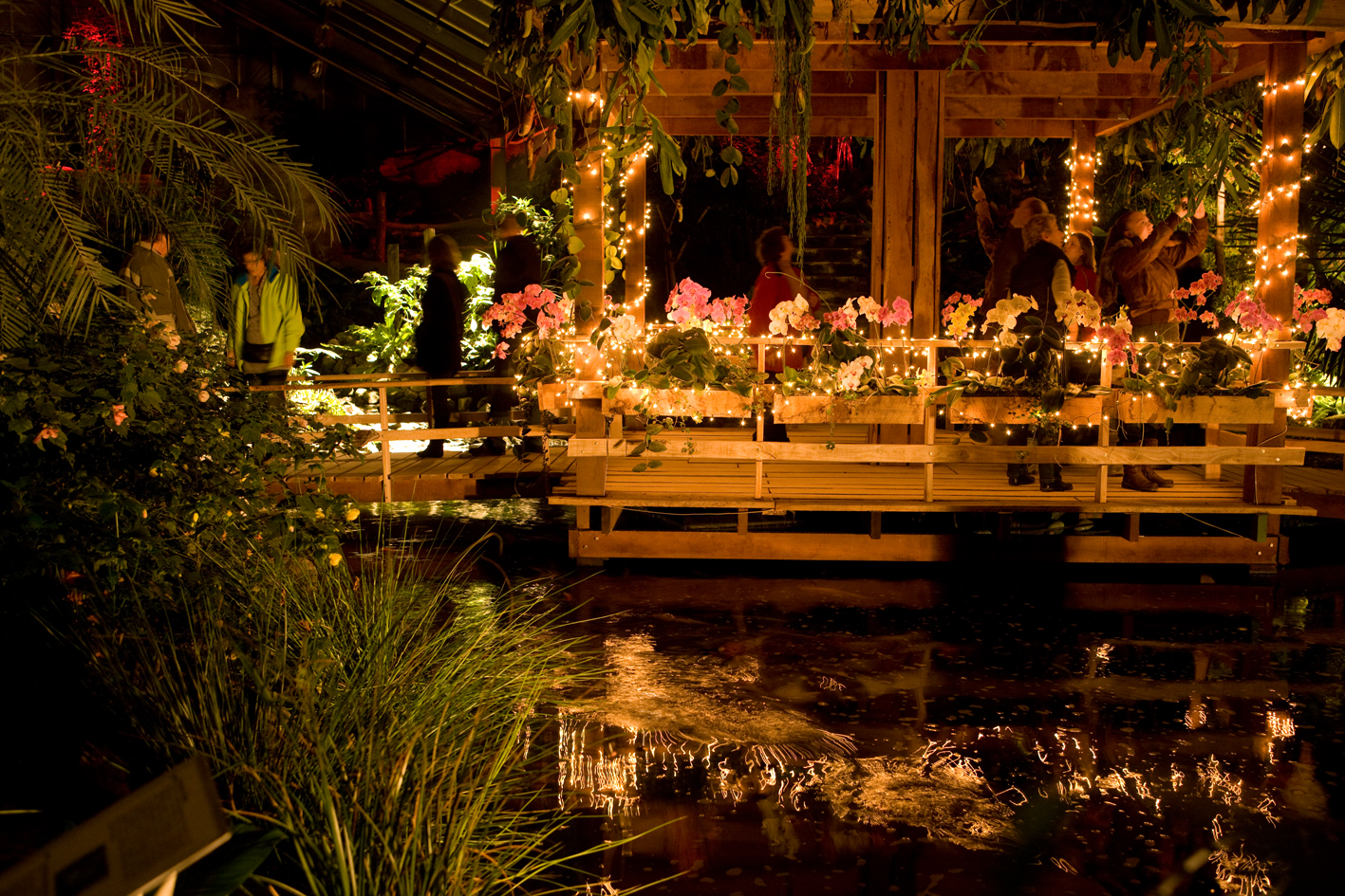 Kerstsfeer tussen de orchideeën