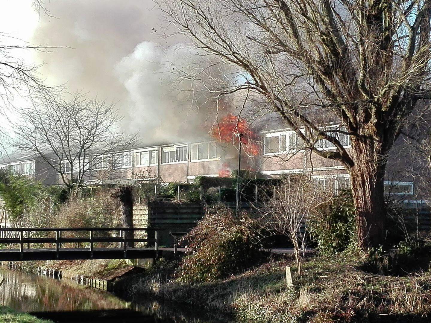 Vrouw en twee honden omgekomen bij brand