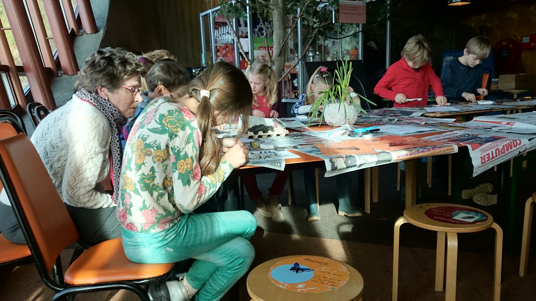 Wat eet een uil?