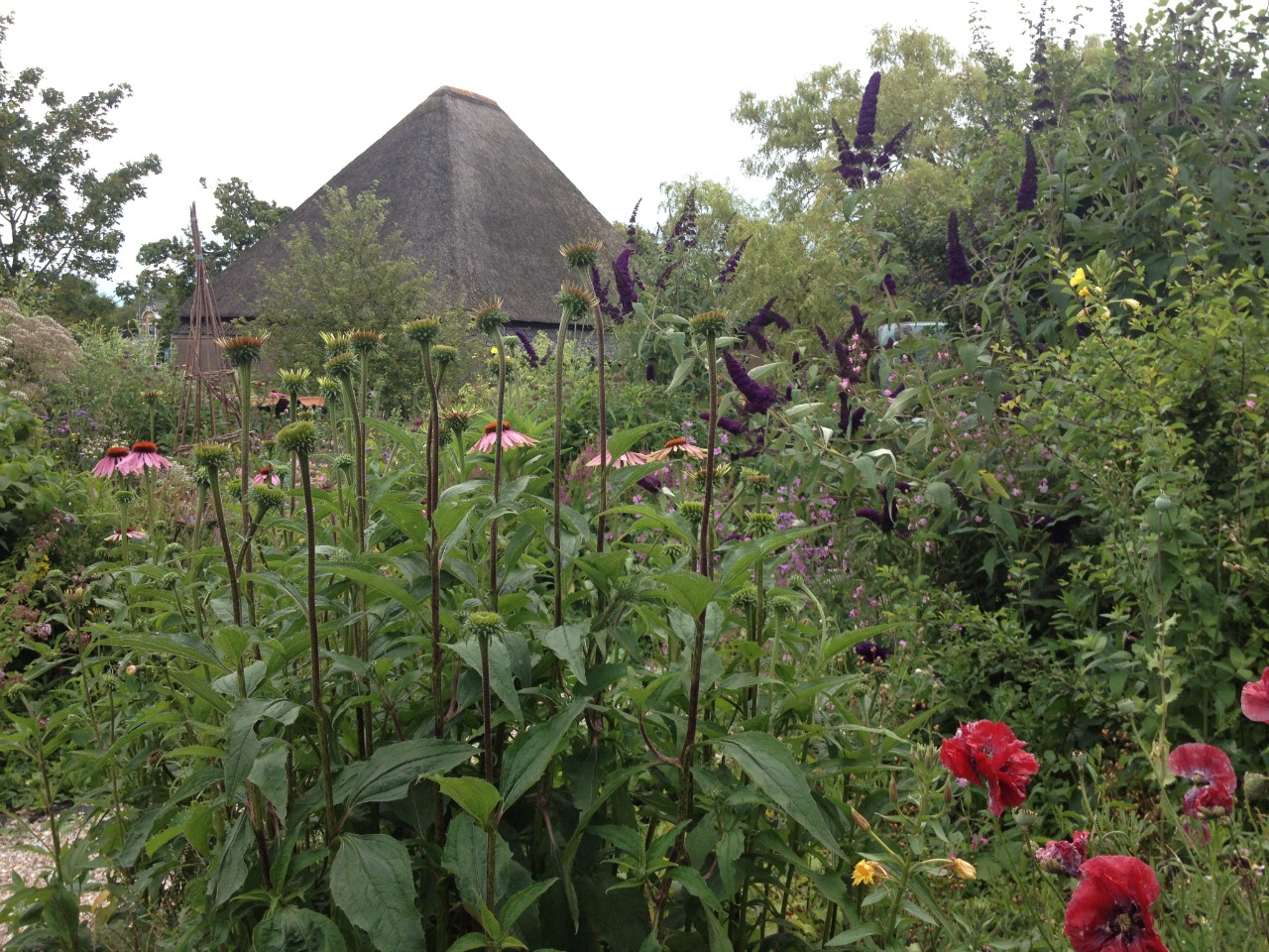 Levende Tuinen-dag, voor meer natuur in de tuin