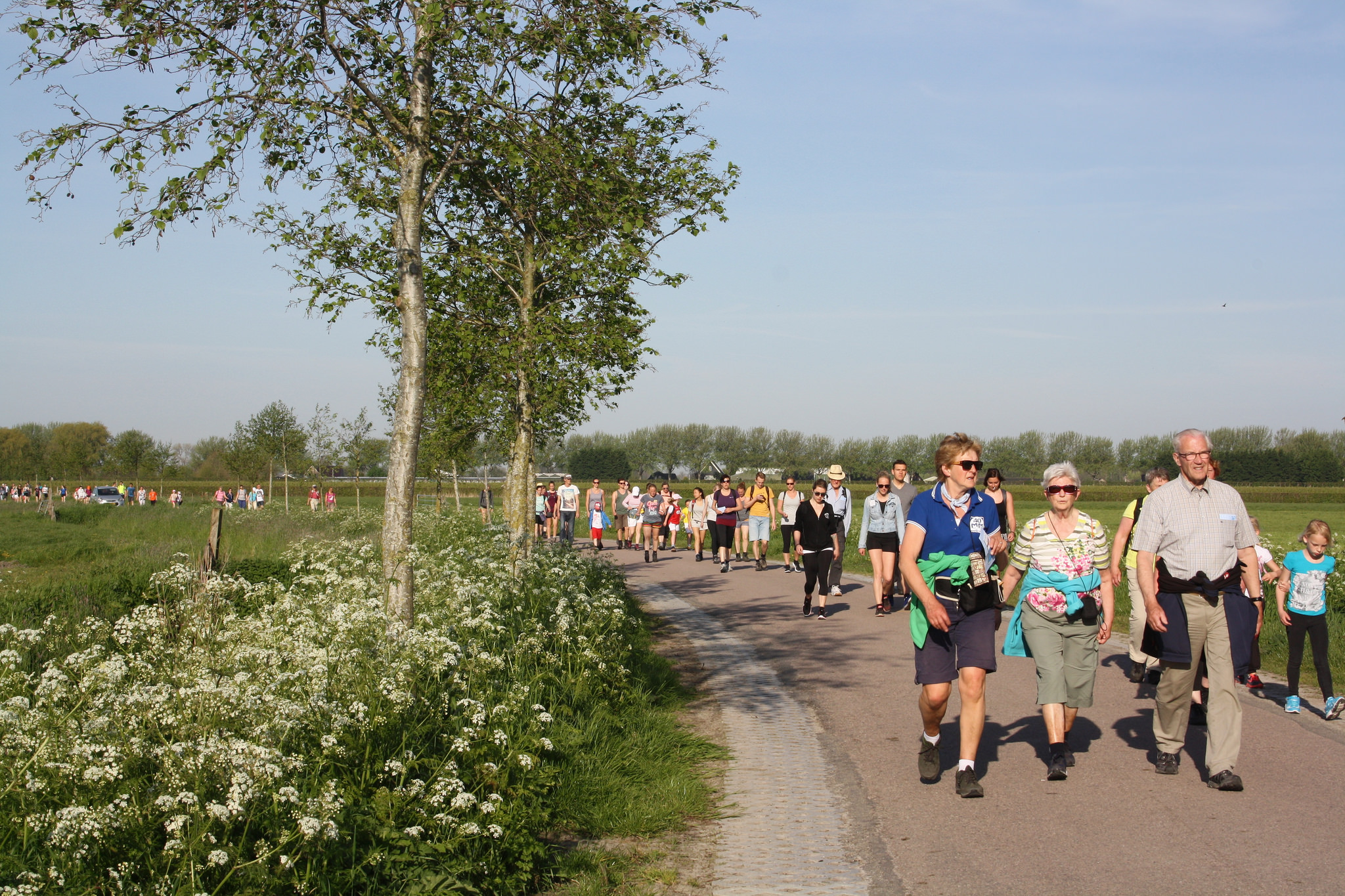 De 44e editie van de 40MM