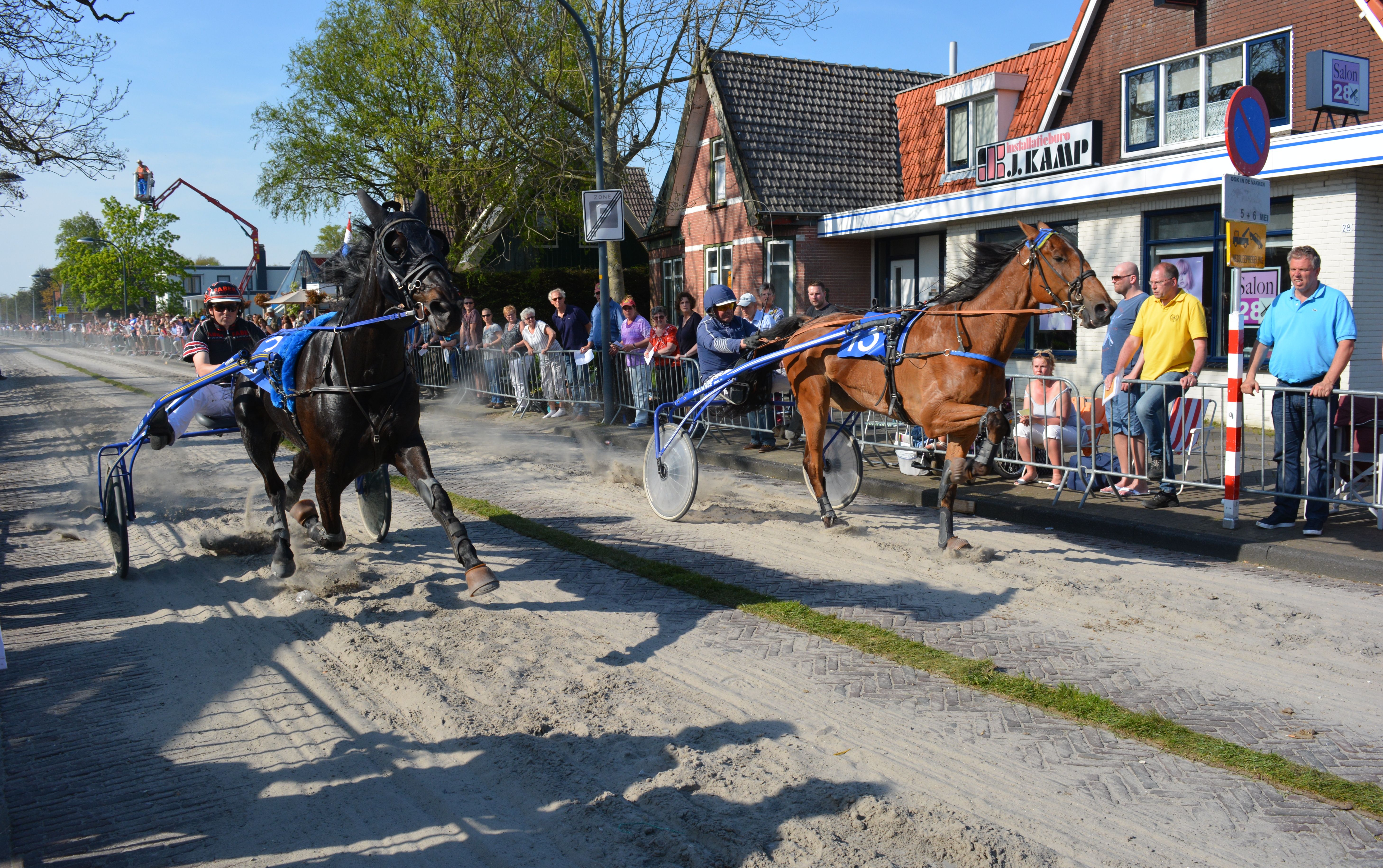 Maximaal aantal paarden op Wognumse klinkers