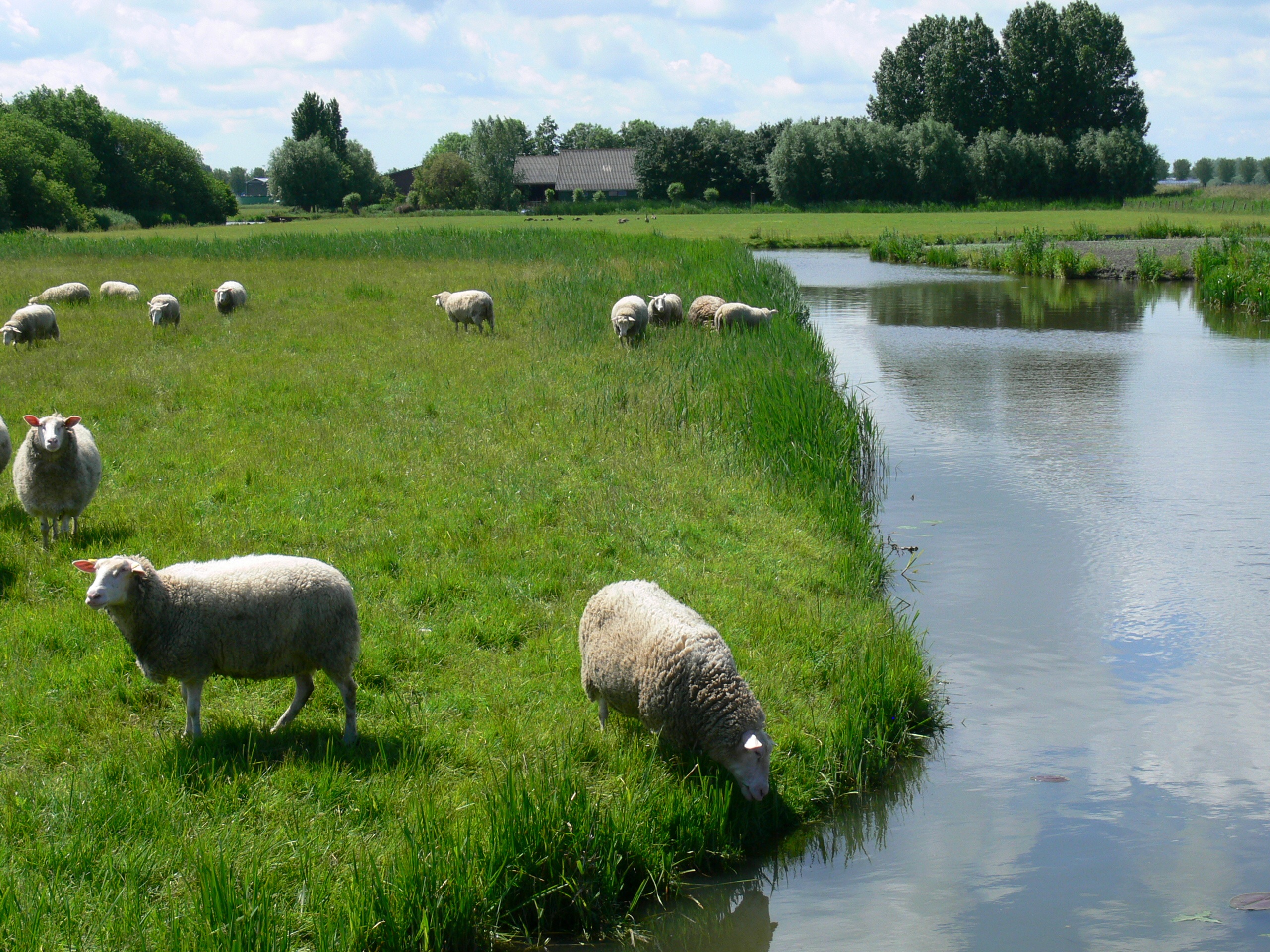 Vaderdagvaartocht en op bezoek bij de boer