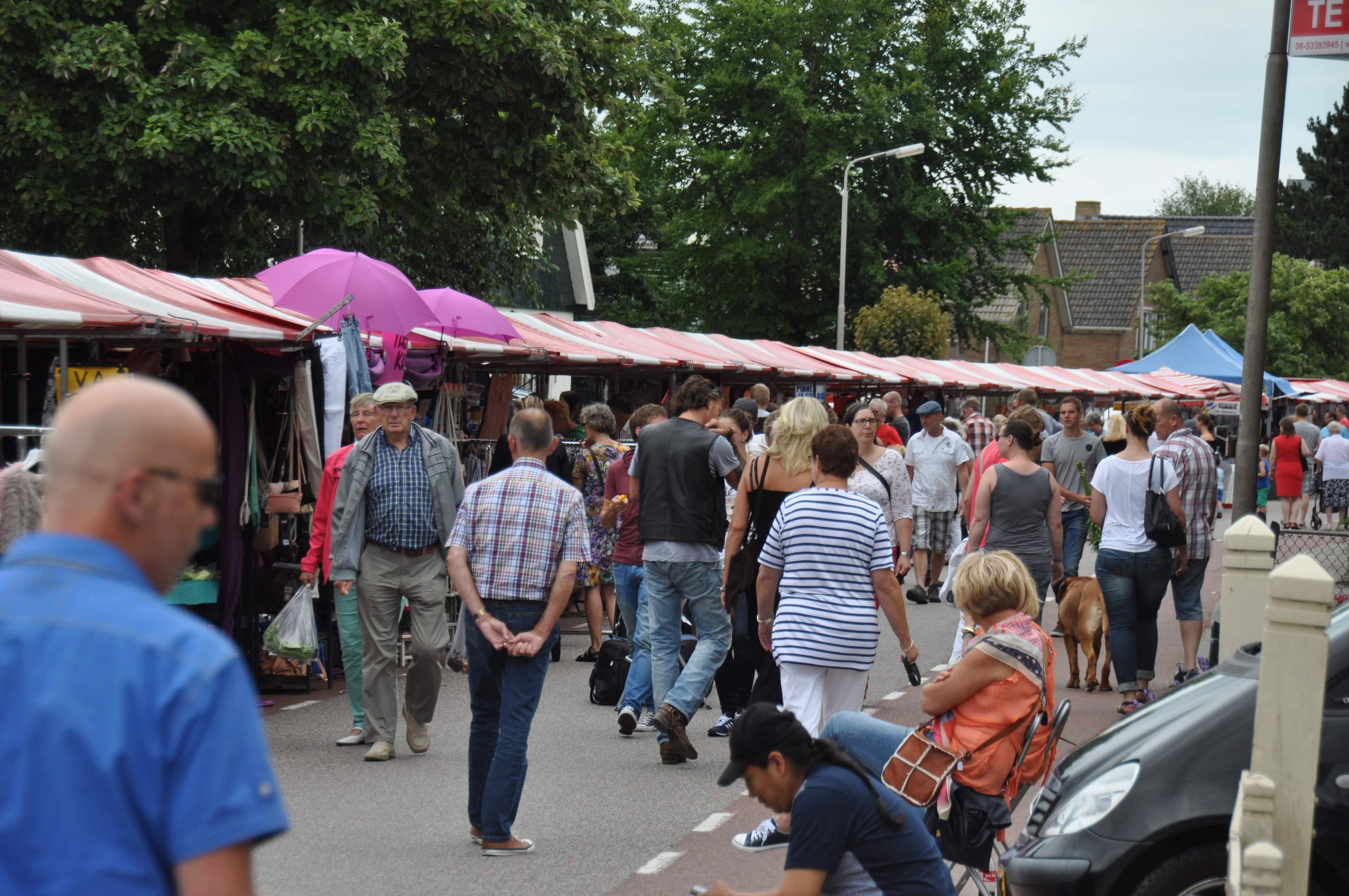 Jaarmarkt Wervershoof op zondag 2 juli