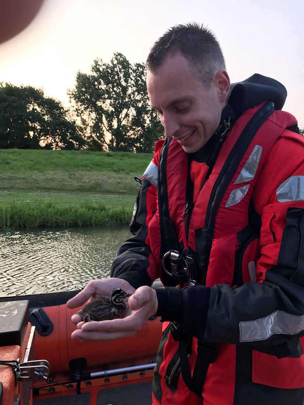 Vrijwilligers redden jonge fuut in haven Wijdenes