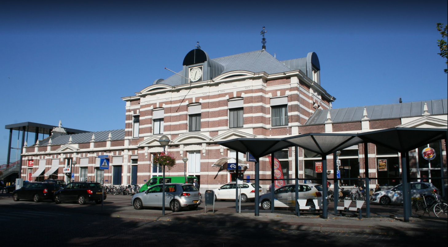 Biodiversiteit in de stad