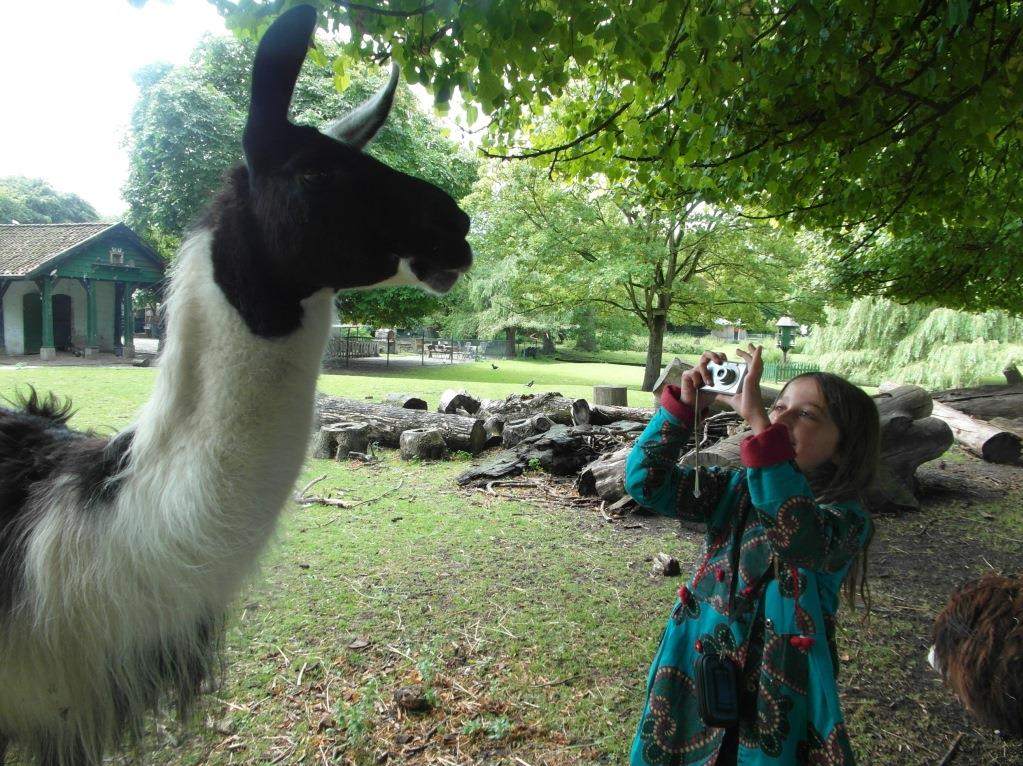 KidzPix: dieren fotograferen