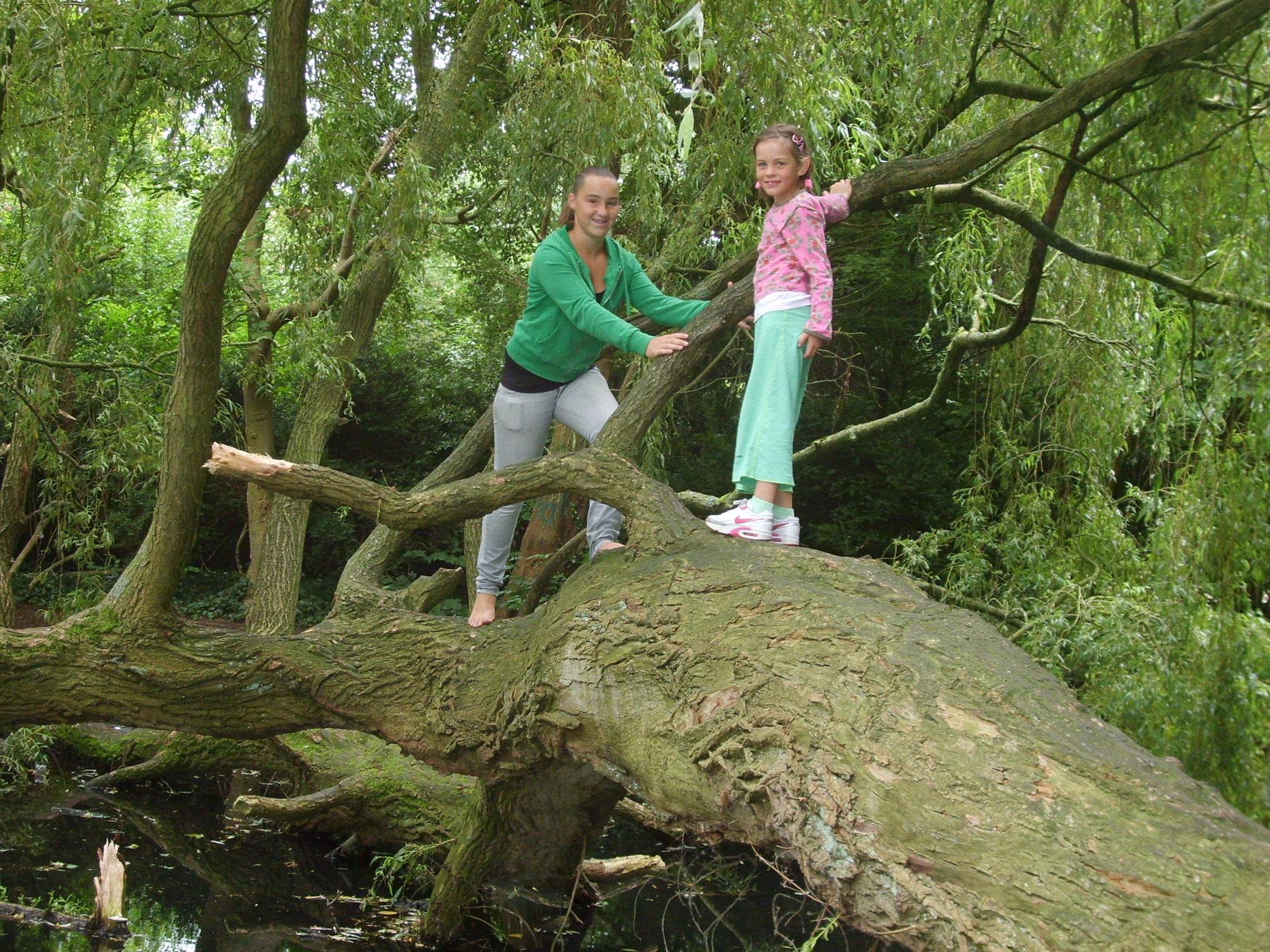 Speuren naar de 4 natuurelementen 