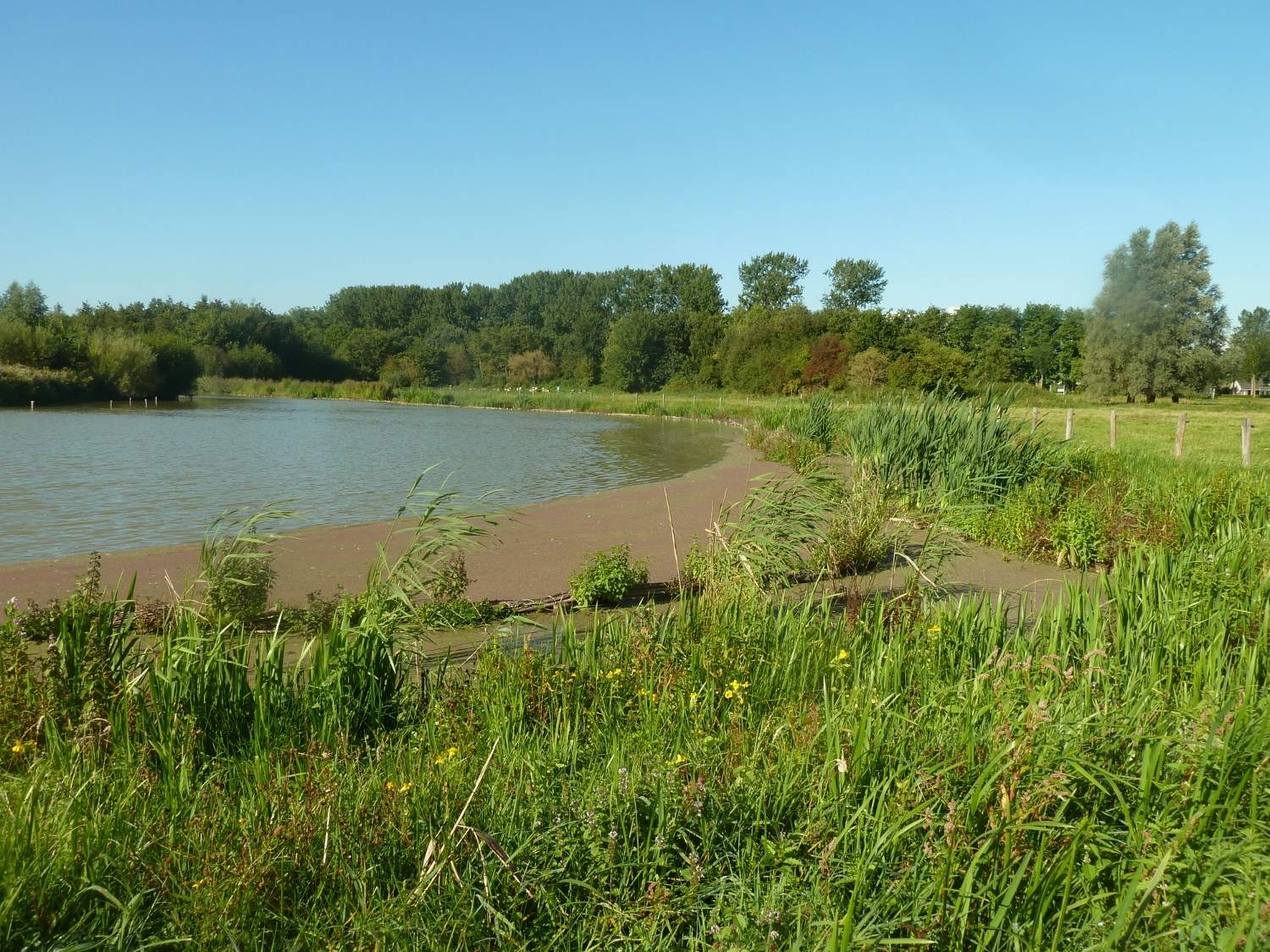 Herfst in De Suyderbraeck Scharwoude