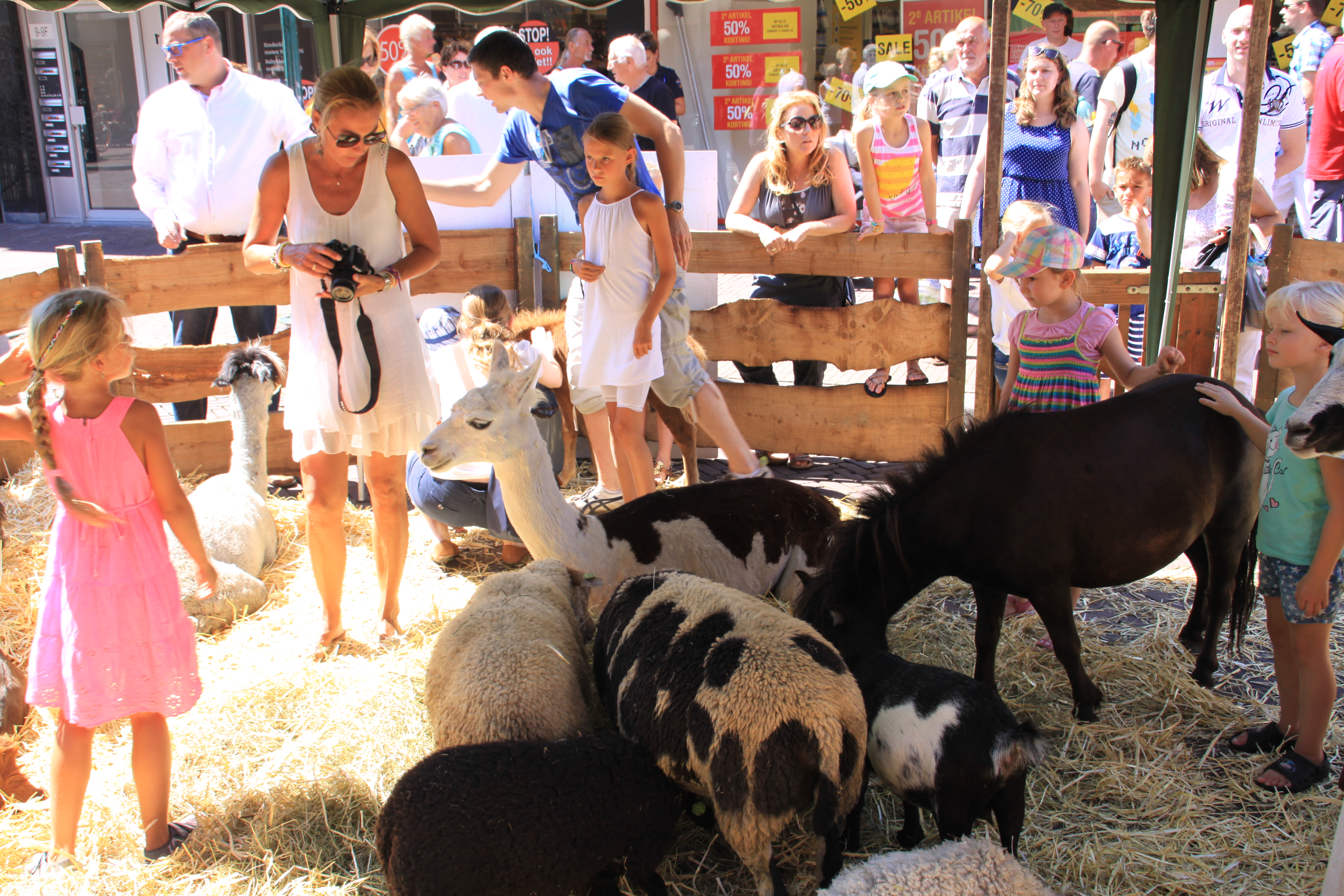 Ponydag en Beestenboel in Hoorn op woensdag 30 augustus