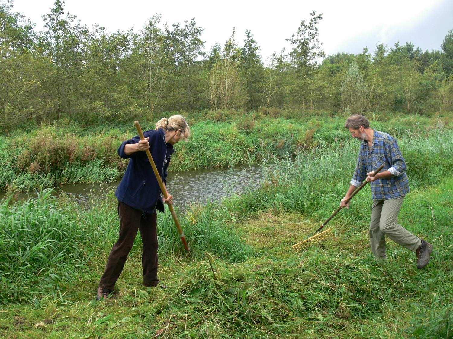 Natuurwerkdag Egboetsterrein