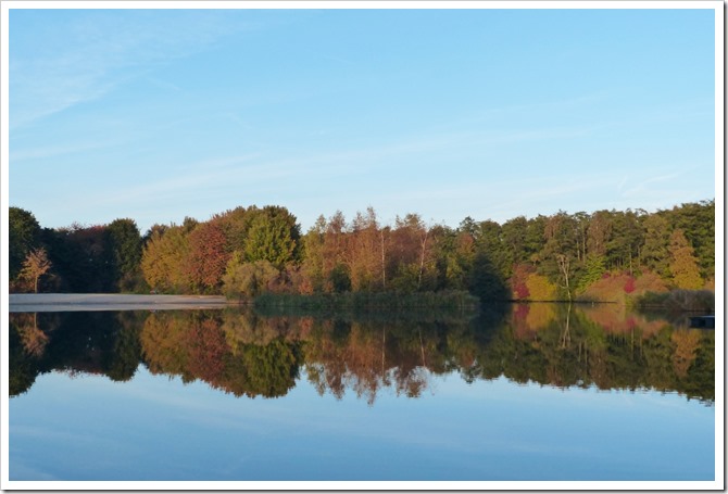 Activiteitenoverzicht IVN West-Friesland oktober t/m december 2017