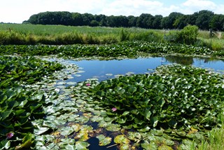 Egboetswater 24-9-17