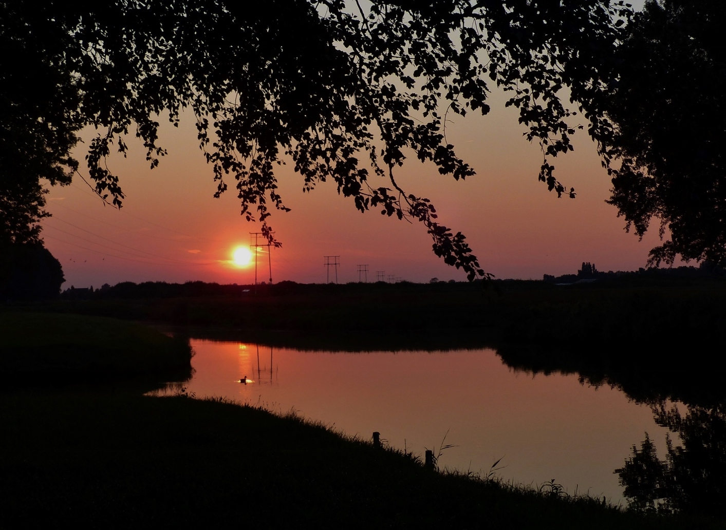 Nacht van de Nacht Streekbos