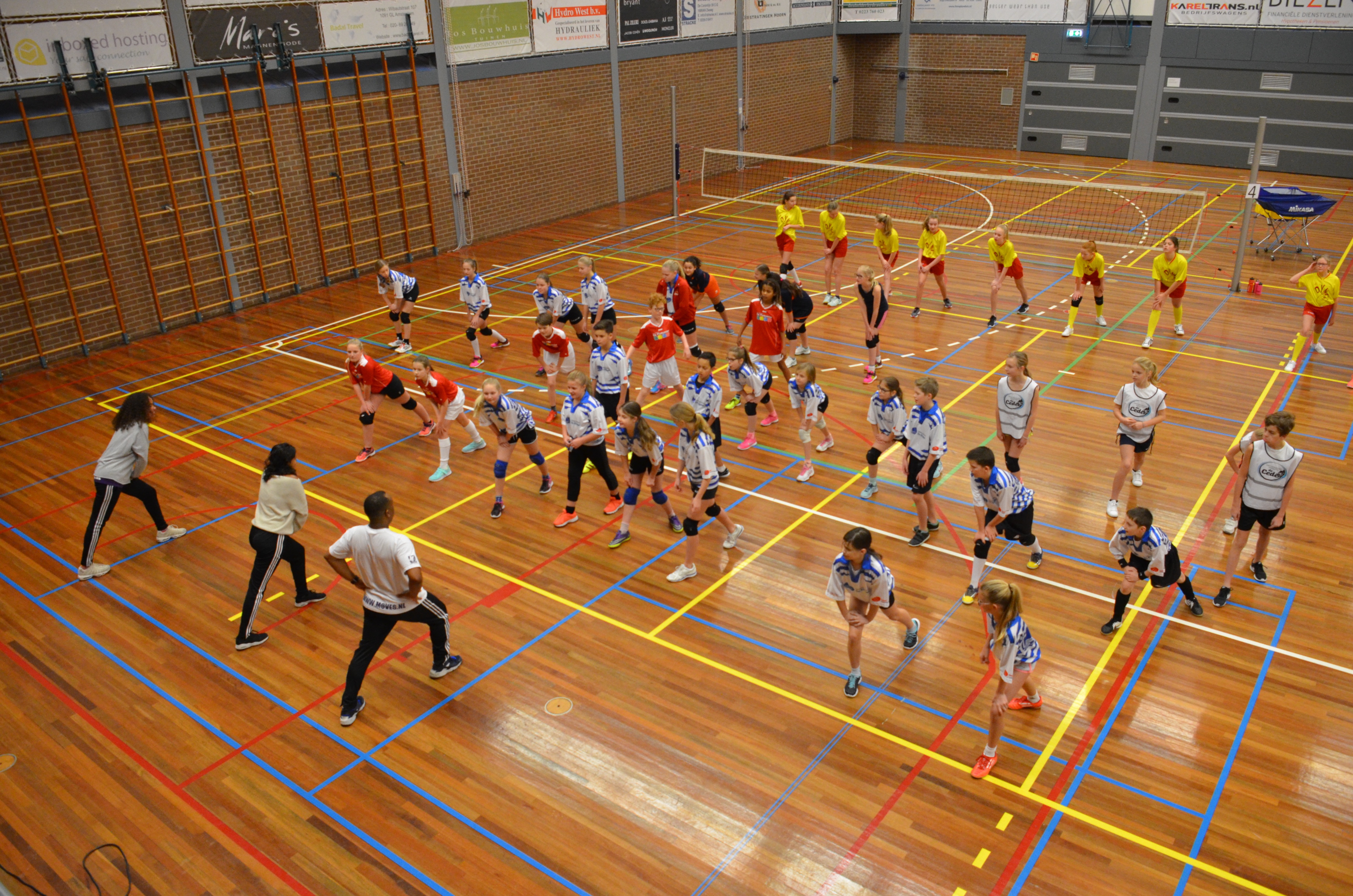 Basisscholen strijden om volleybaltitel