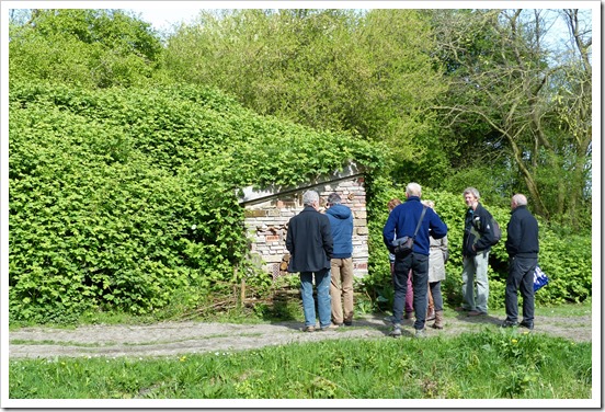 Activiteitenoverzicht IVN Juni