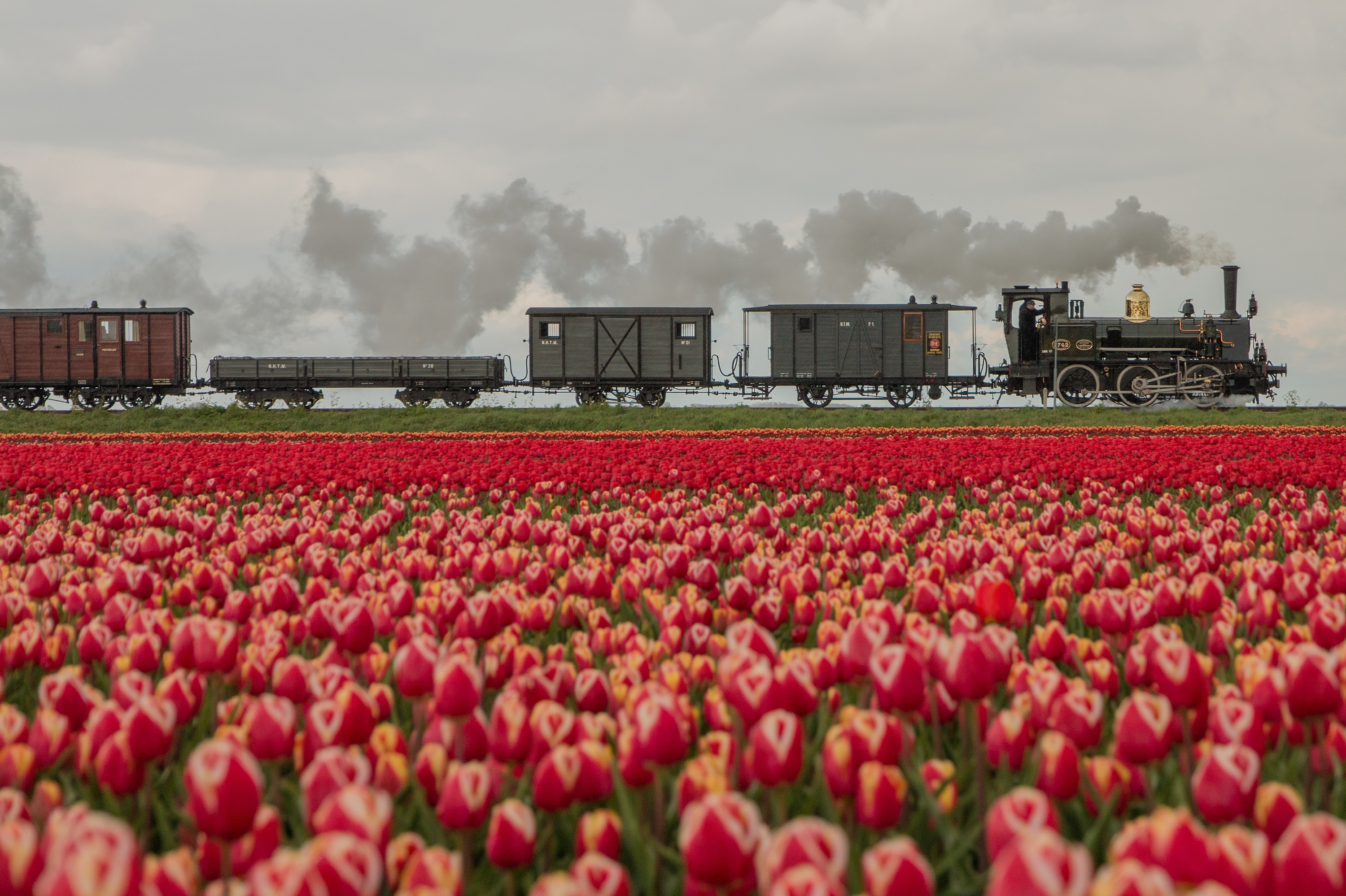 Stoomtrams met Tulpengarantie