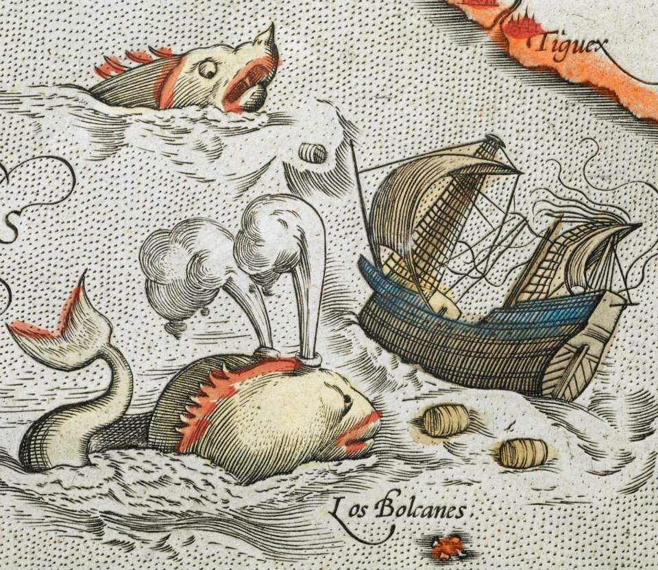 Fabeldieren en zeemonsters in het Westfries Museum