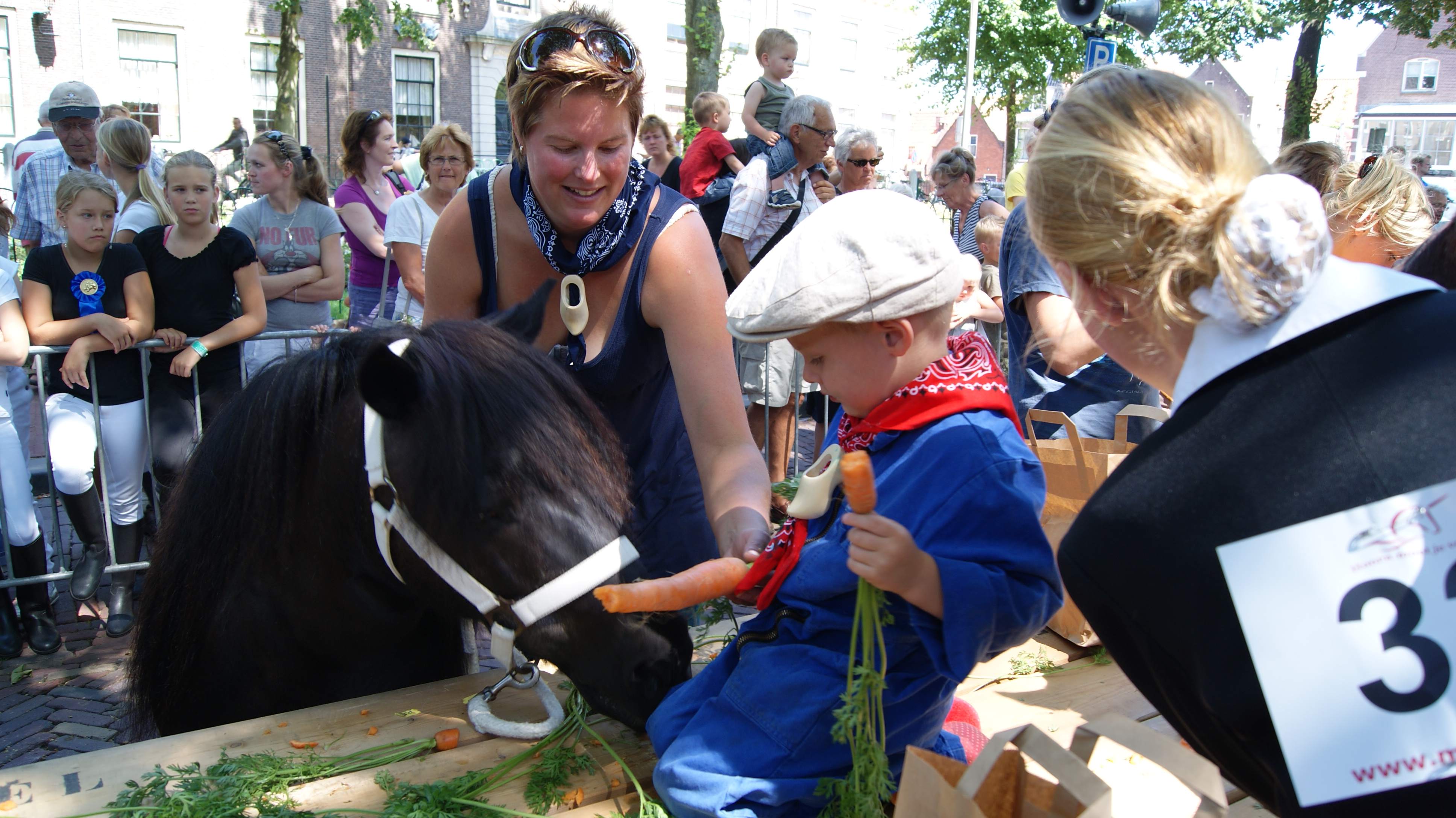 Organisatie Hoornse Ponydag zoekt nog deelnemers