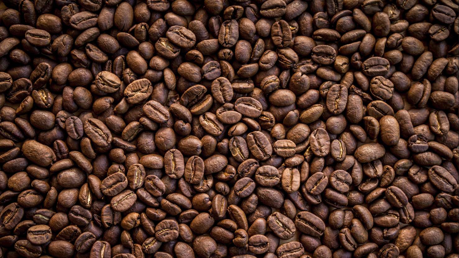 Tussenstand Koffie Top 100 Publieksprijs: De Tuynkamer gaat aan kop