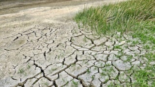 Extreme droogte