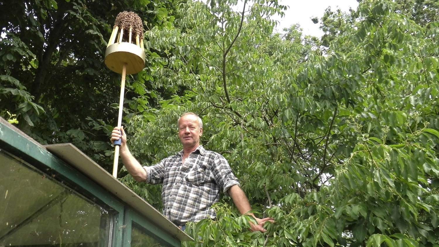 In de ban van de bij