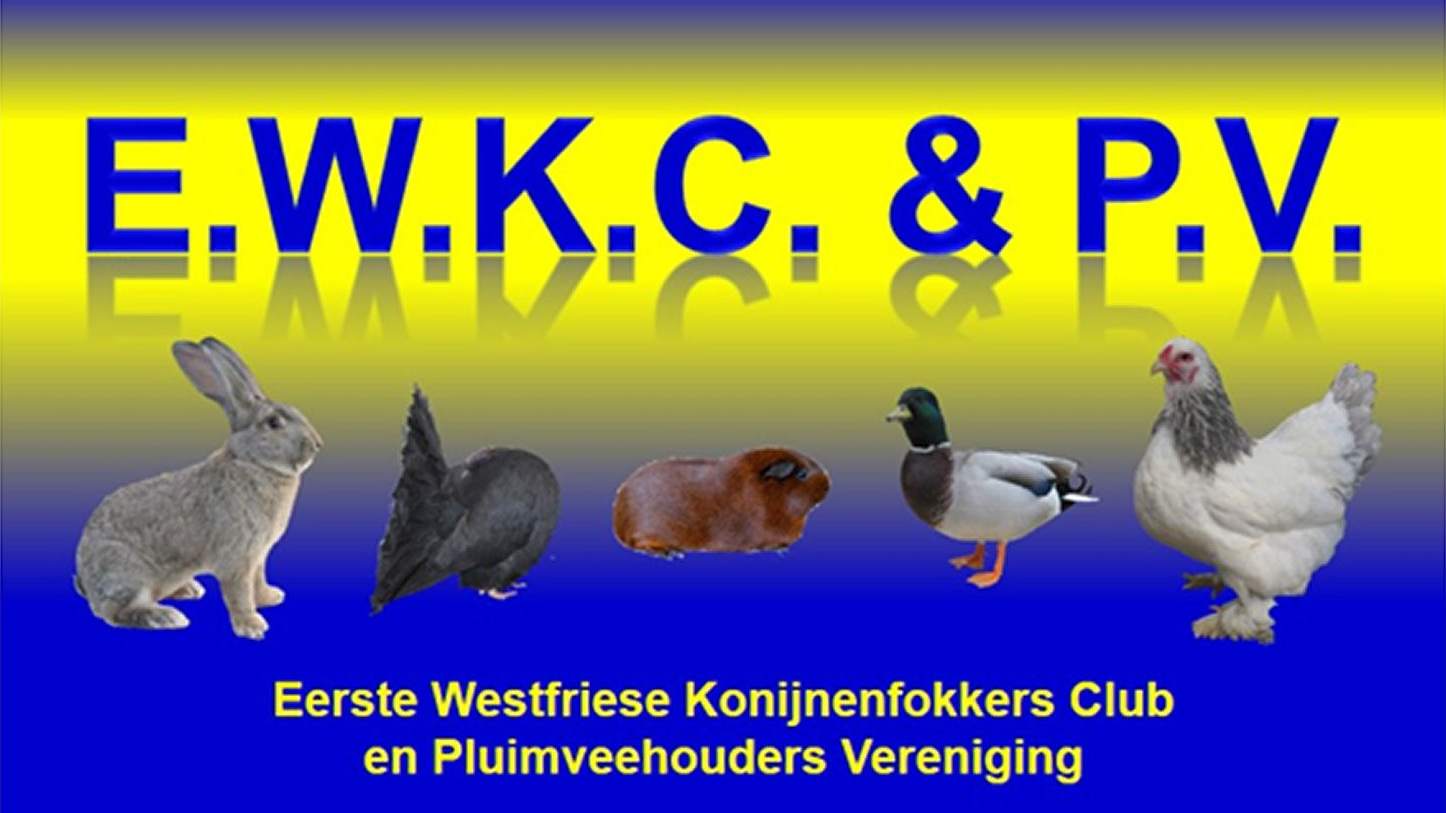 Kleindierententoonstelling EWKC&PV in Berkhout