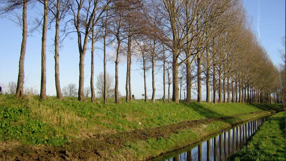 Uniek lenteweer